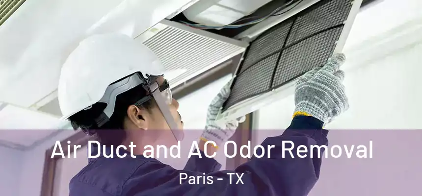 Air Duct and AC Odor Removal Paris - TX