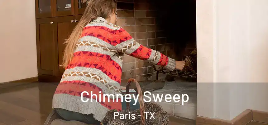  Chimney Sweep Paris - TX