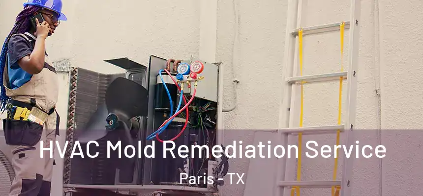 HVAC Mold Remediation Service Paris - TX