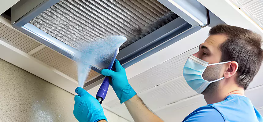 Proactive Dryer Vent & Auxiliary Duct Pollen Cleanup in Paris, TX