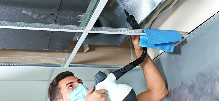 Our Air Duct Rodent Removal Services in Paris, TX