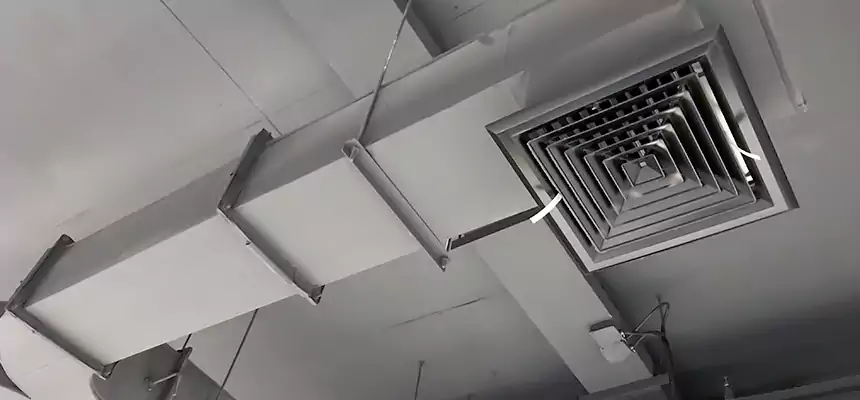 Restorative Allergy Relief Vent Cleaning – Coil, Blower & Housing Detail in Paris