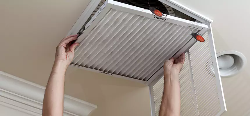 Our Insect Removal from Air Ducts Services in Paris, TX