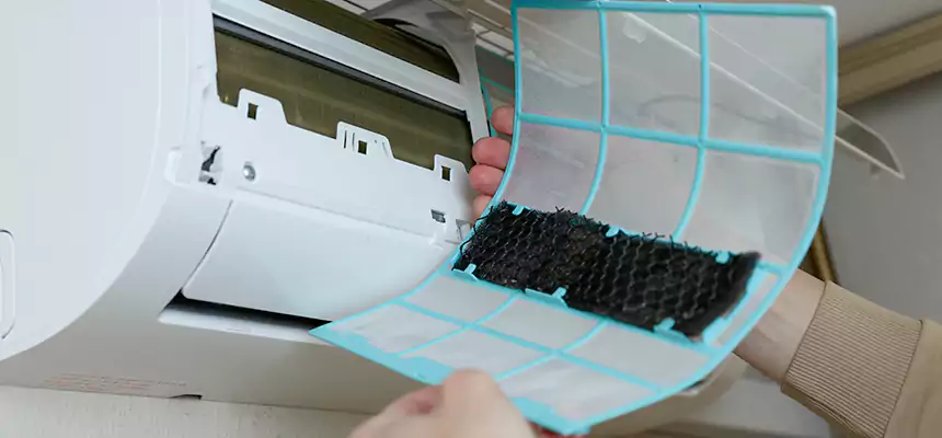 Gentle Ductwork Odor-Control Pet Dander Duct Cleaning in Paris, TX