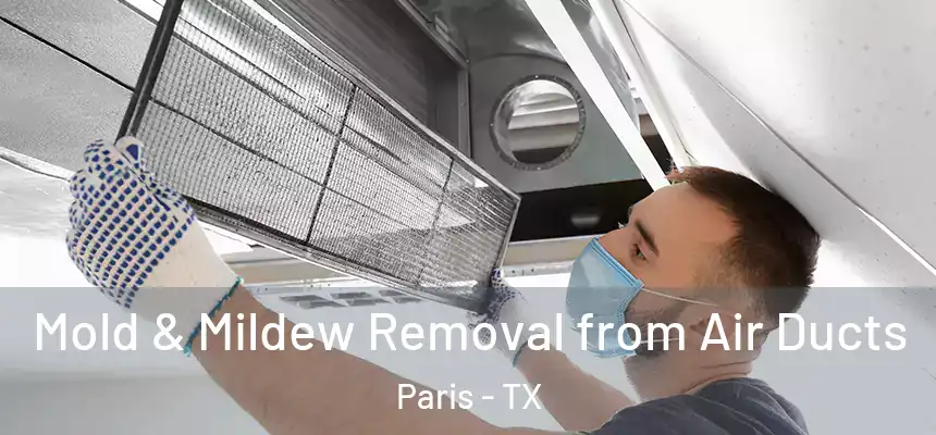  Mold & Mildew Removal from Air Ducts Paris - TX