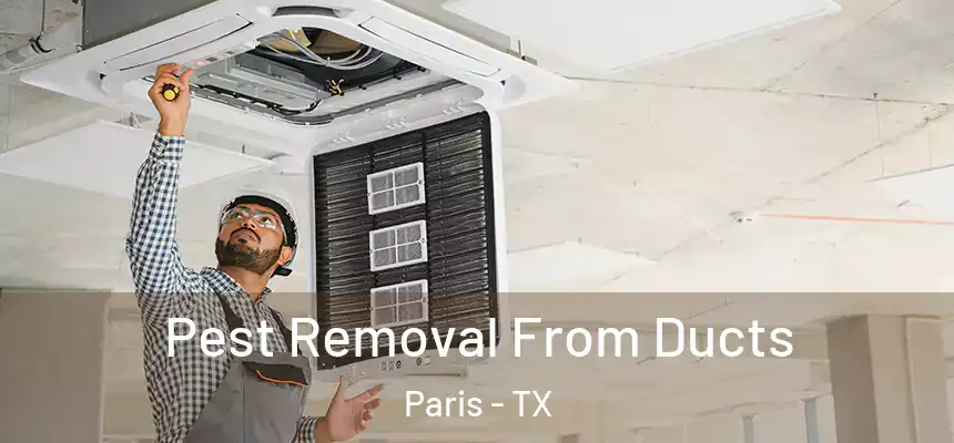  Pest Removal From Ducts Paris - TX