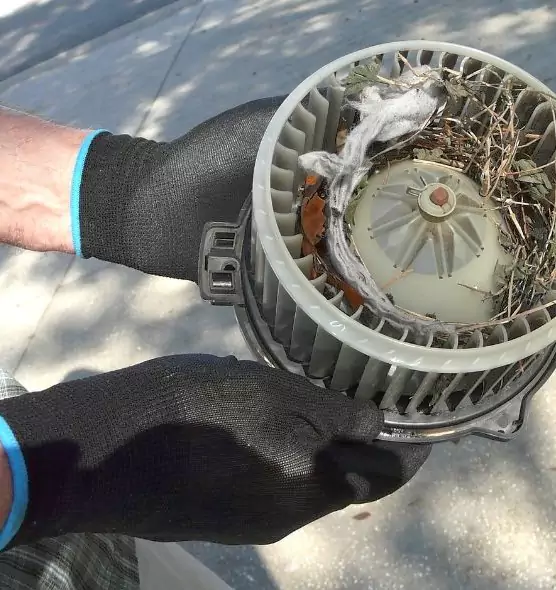 About Air Duct Rat Removal in Paris, TX