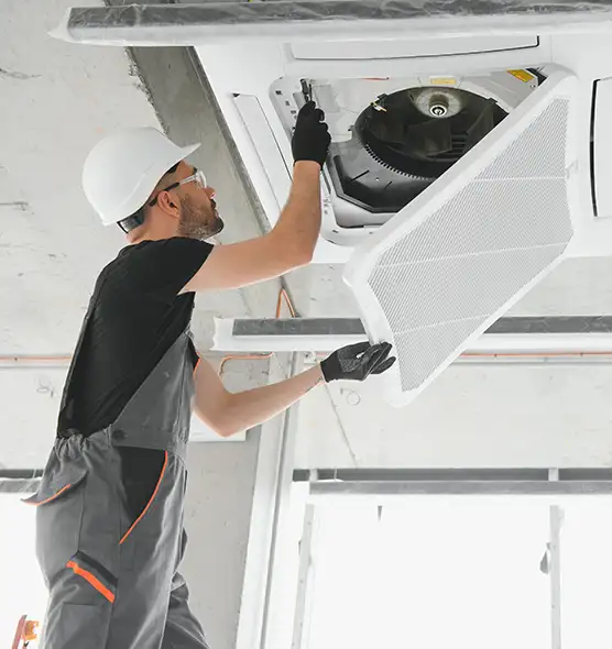 About Air Duct Rodent Removal in Paris, TX