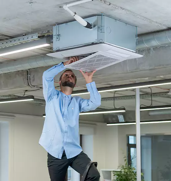 Advanced Rodent Droppings In Vents in Paris, TX