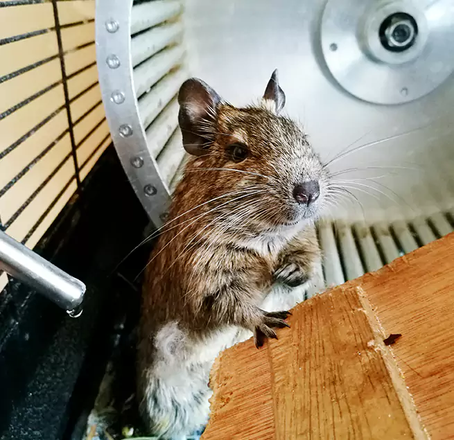 Why Homeowners & Businesses Trust Us Paris, TX