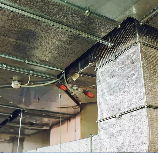 Why Homeowners & Businesses Trust Us Paris, TX?